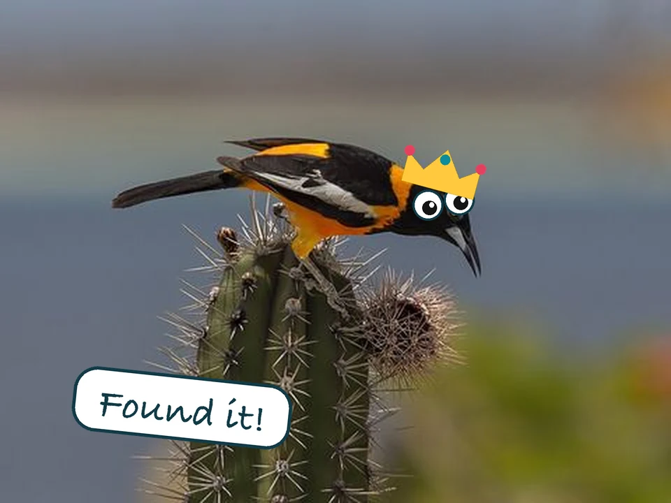 A trupial photographed by a child, decorated in the app with googly eyes, a crown and a Found it! sticker