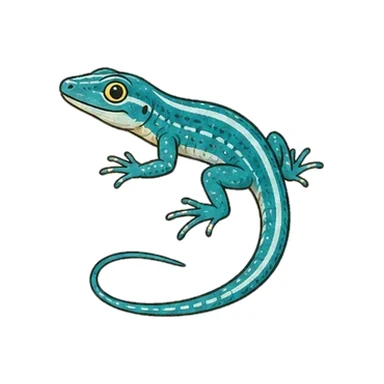 Blue Whiptail Lizard (Cododo), Aruba